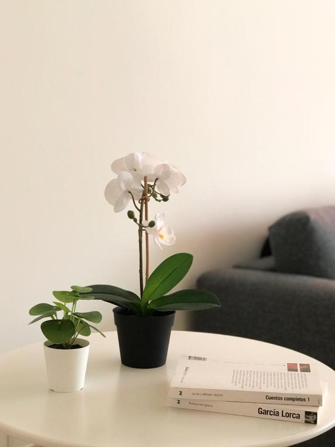 Carihuela Beach Suite Apartment 토레몰리노스 외부 사진